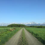 建築作業員、スタッフの募集