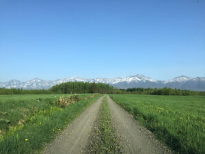 建築作業員、スタッフの募集